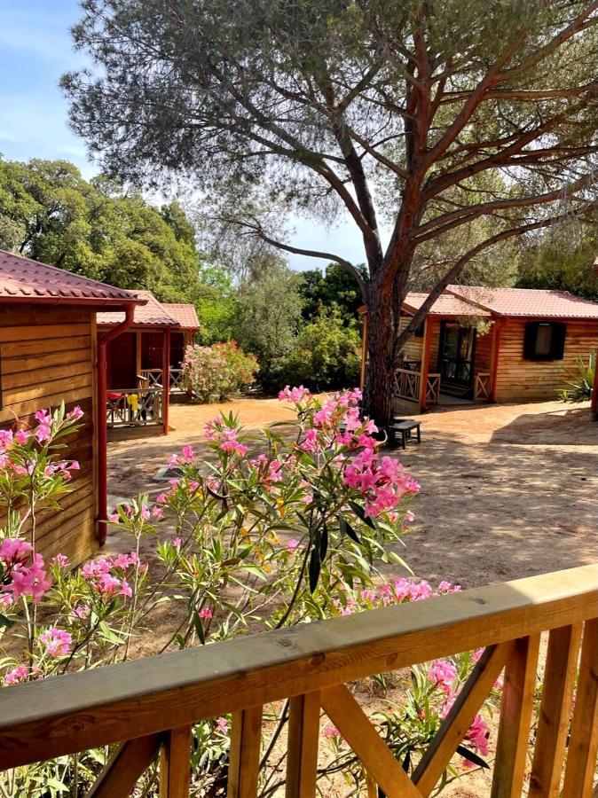 Feriendorf La Mora Calvi  Exterior foto